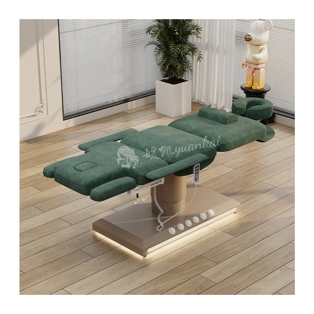Modern Electric Medical Bed Adjustable Beauty Salon Facial Care Special Beauty Bed