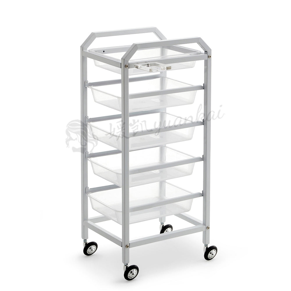 Hot selling new product high-quality beauty salon massage shop barber shop handcart mobile car trolley