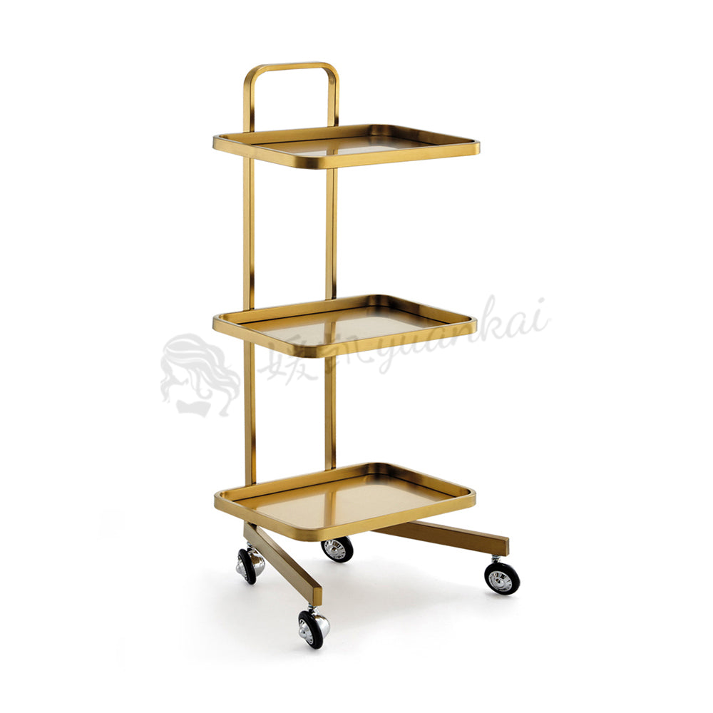 Hot selling new product high-quality beauty salon massage shop barber shop handcart mobile car trolley