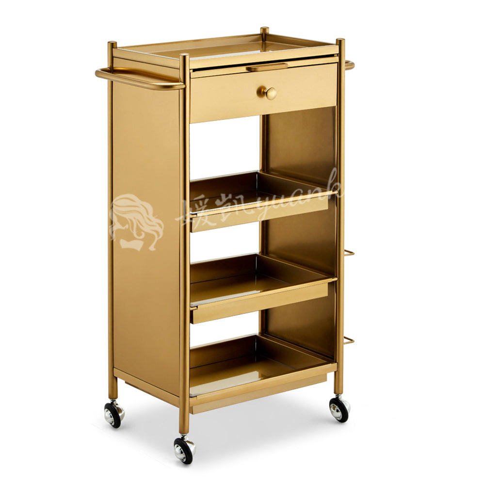 Deluxe Salon Equipment Beauty salon work cart barbershop trolley